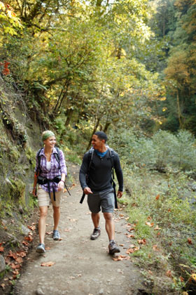 hikers in wooded forest