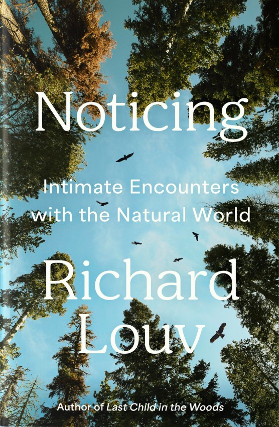 Noticing book cover